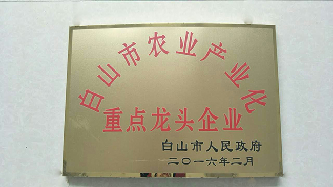 荣誉资质