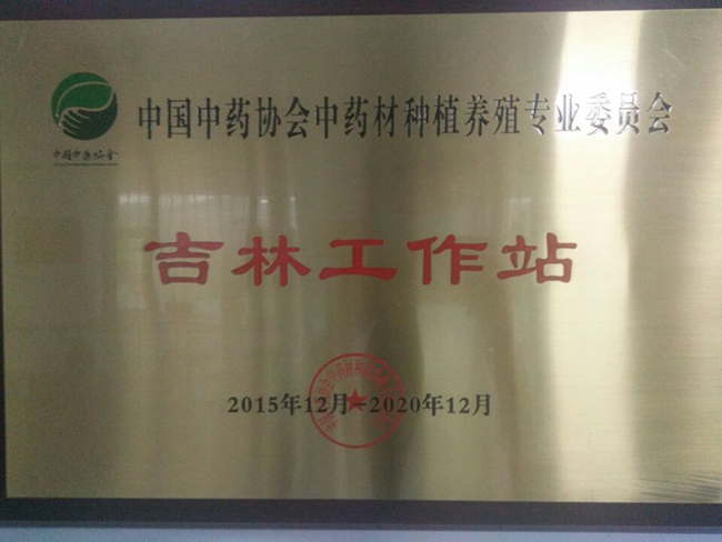 荣誉资质